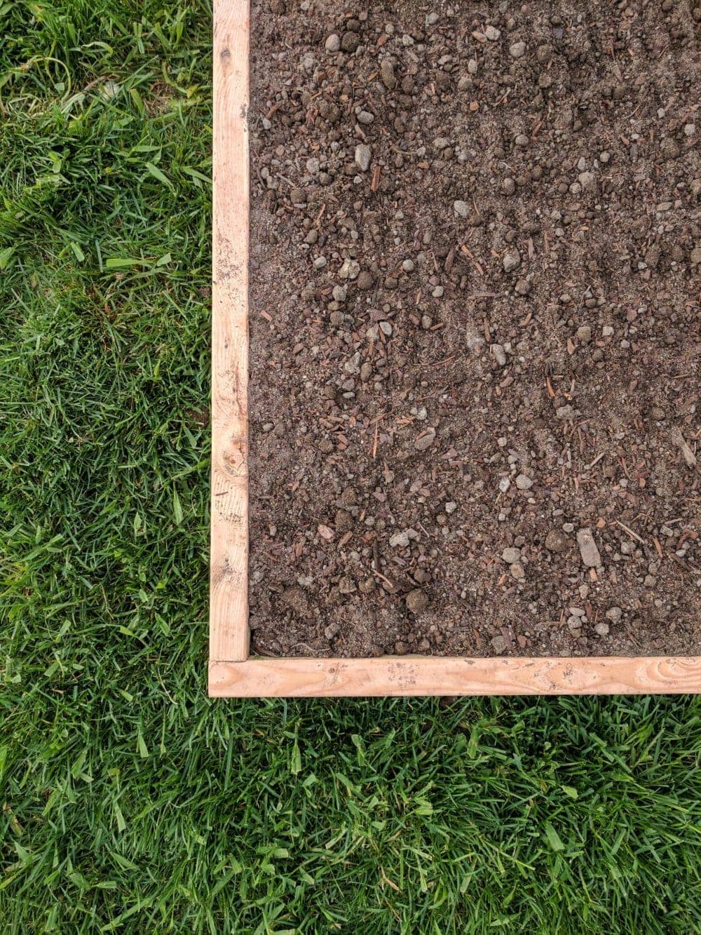 An overhead view looking down on a raised garden bed full of raked soil