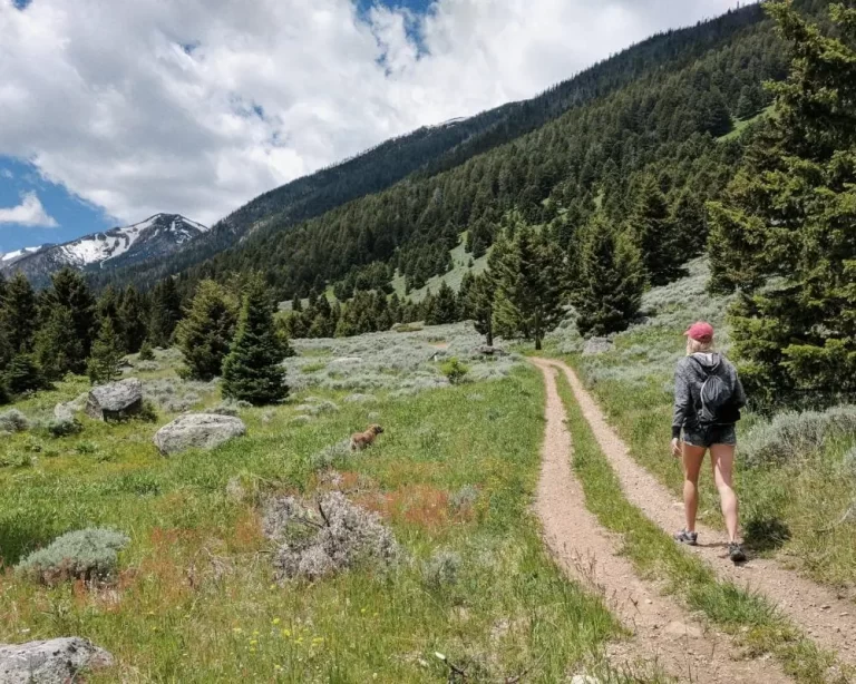 hike to bell lake bozeman