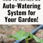 How to install DIY drip watering system for your garden (easy irrigation)