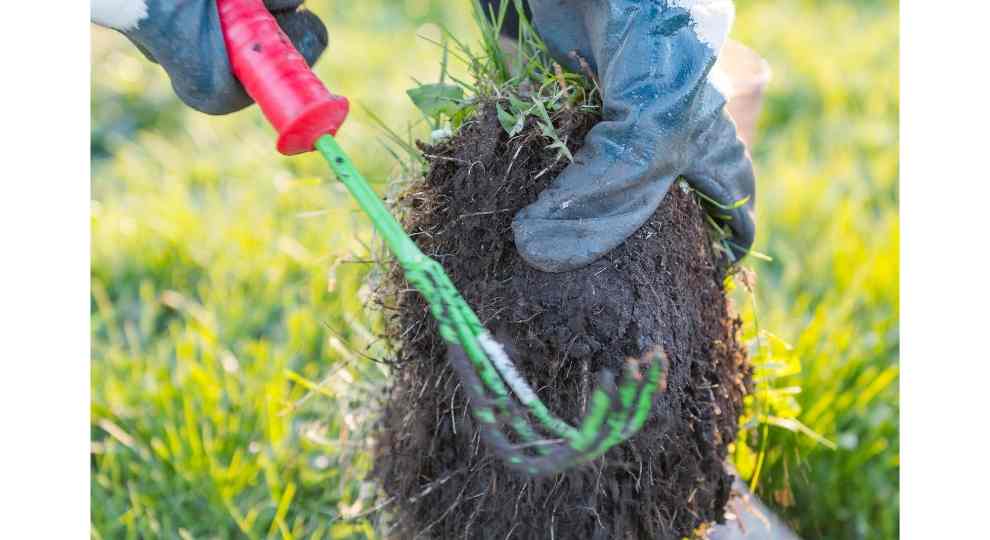 How to pull out weeds