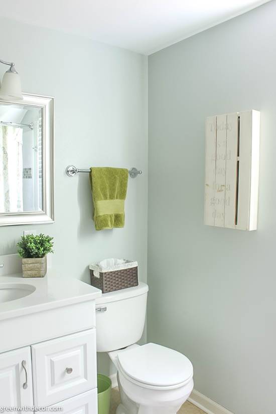 bathroom painted with Sea Salt by Sherwin-Williams