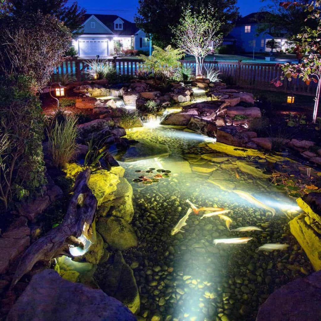 Pond Ideas To Brighten Up & Add Interest To Your Yard