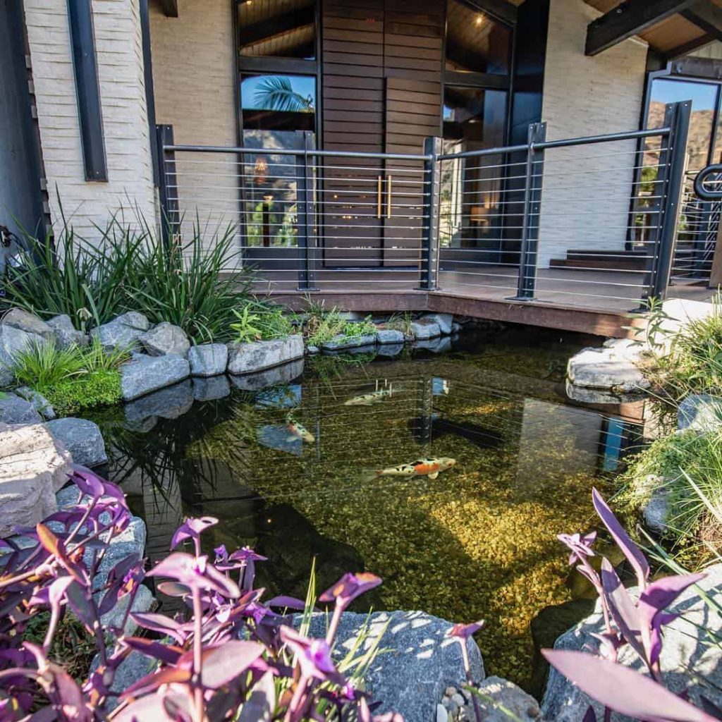 Pond Ideas To Brighten Up & Add Interest To Your Yard