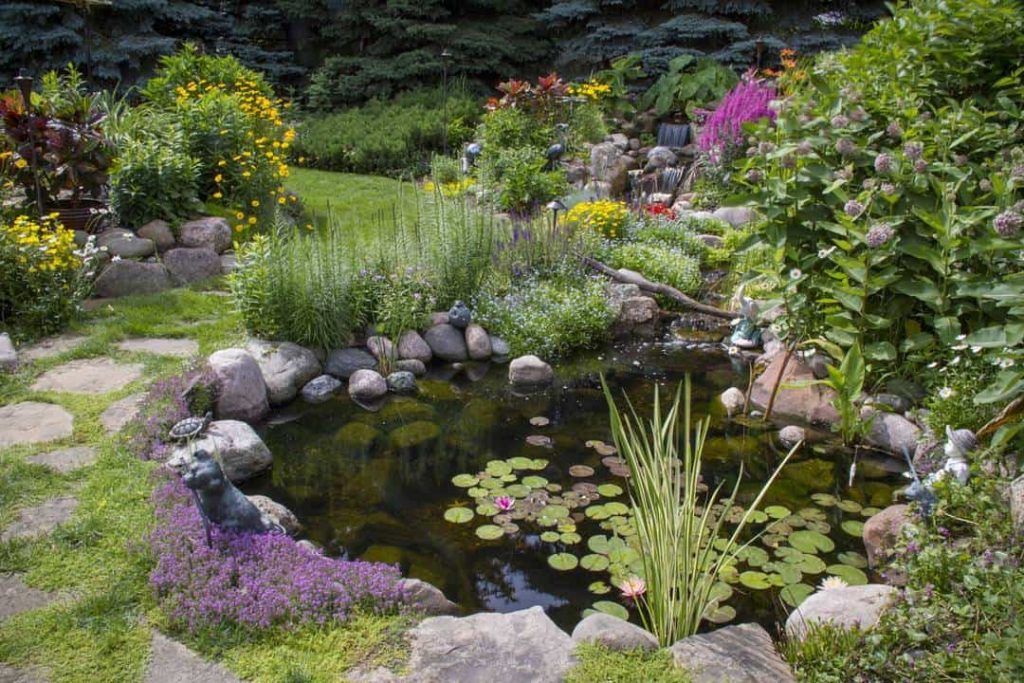 Pond Ideas To Brighten Up & Add Interest To Your Yard