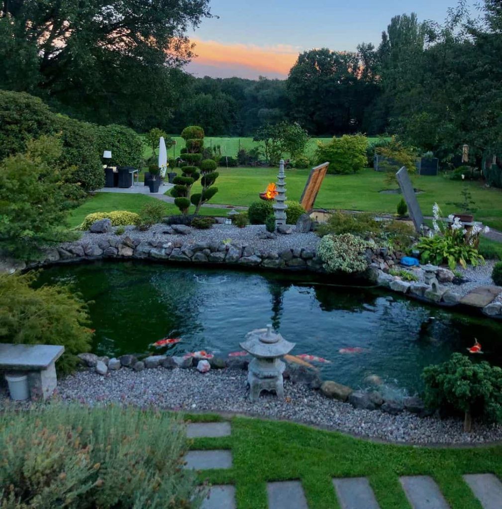 Pond Ideas To Brighten Up & Add Interest To Your Yard