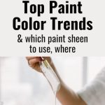 top paint color trends which paint finish sheen to use