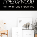 chair and floor using The Best Types Of WooD For Furniture and Flooring