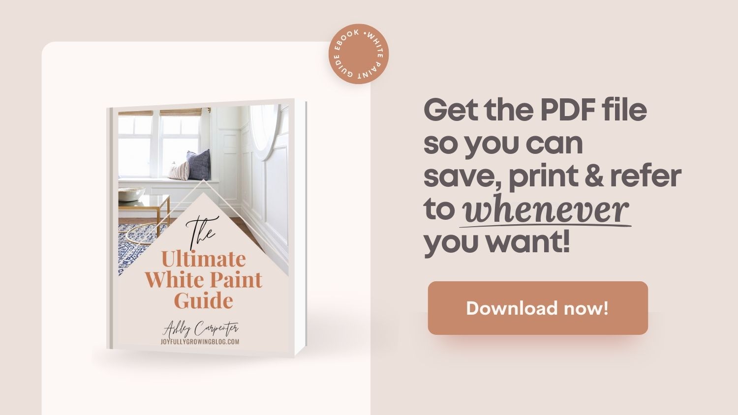 The white paint ultimate guide downloadable PDF