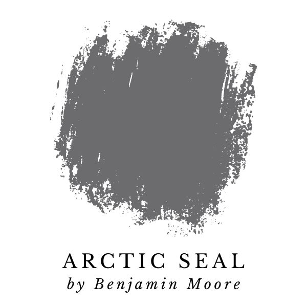 Arctic Seal by Benjamin Moore paint color splotch