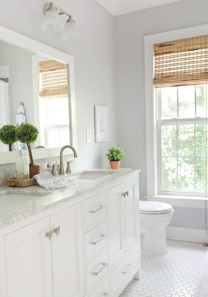 bathroom painted with Passive by Sherwin-Williams