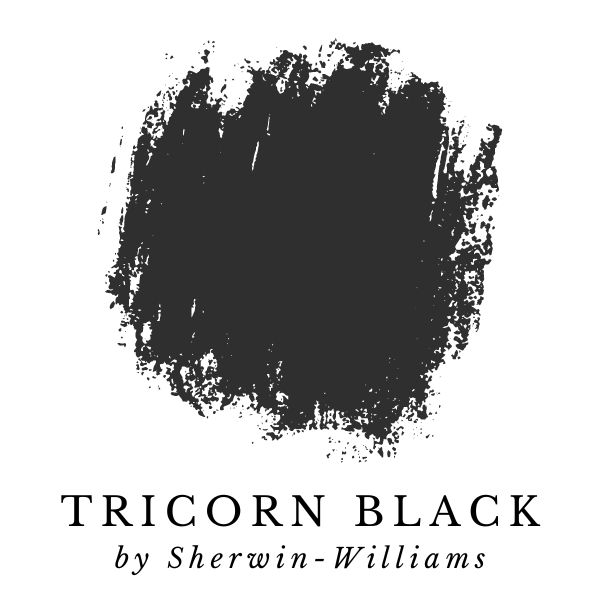 Tricorn Black by Sherwin-Williams paint color splotch