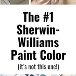 Ultimate guide to Sherwin-Williams paint color