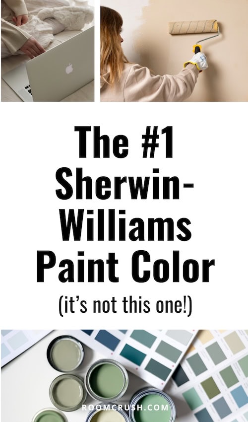 Ultimate guide to Sherwin-Williams paint color