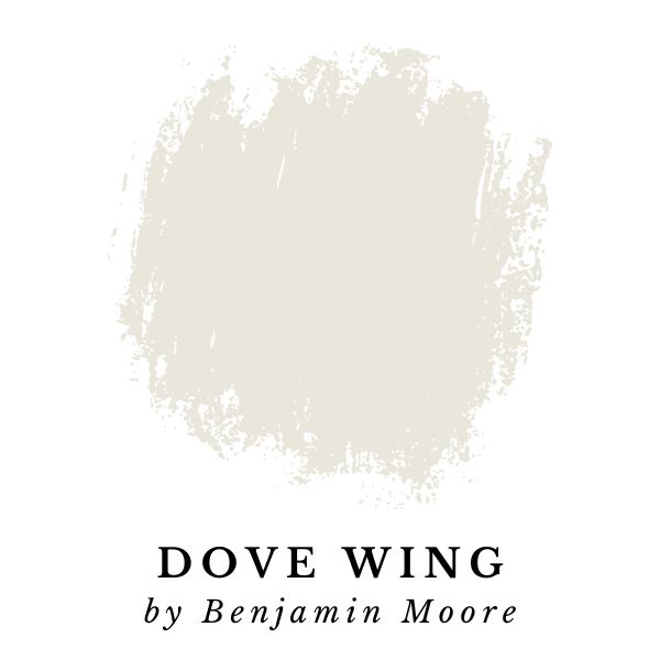 Dove Wing by Benjamin Moore paint color splotch