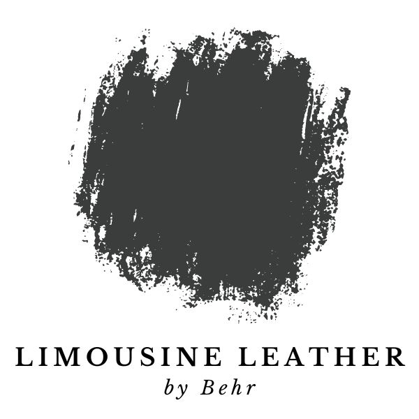 Limousine Leather by Behr paint color splotch 