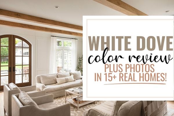 White Dove color review