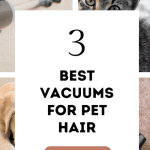 The Best Vacuums for Pet Hair compared