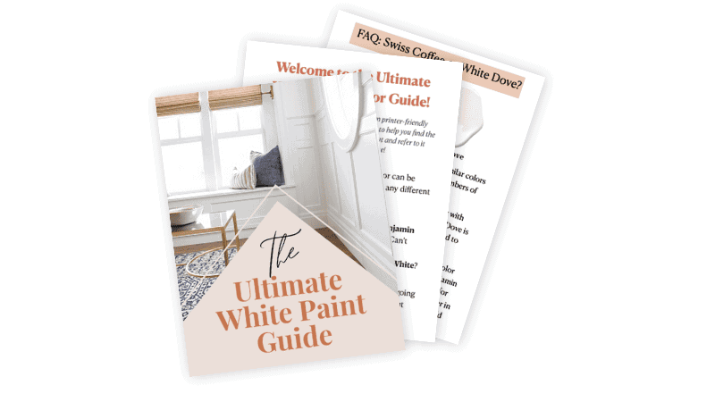 white-paint-guide-shop-graphic