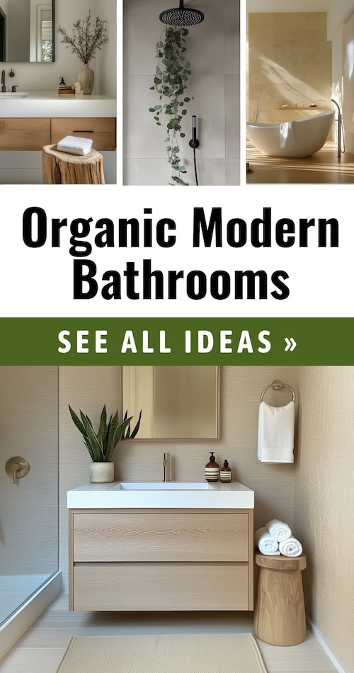 Organic Modern Bathroom Design Small Modern